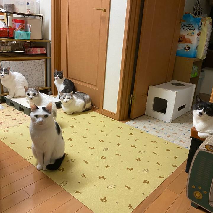 E40aad93 c0b4 4311 92db 743c670f21f3 1608885631085