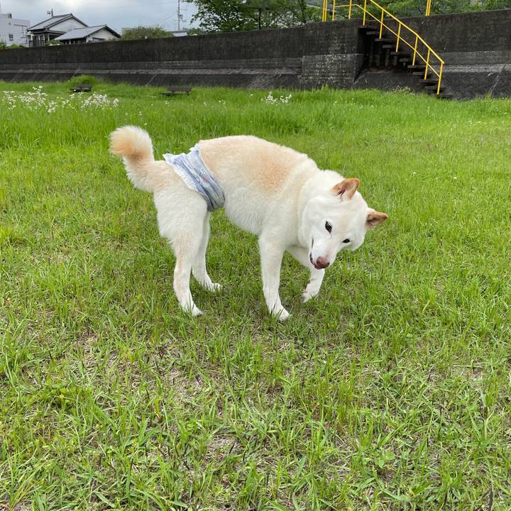 E40ab1e4 c7e1 44dc 813a bfa04e8e67b8 1683076115023