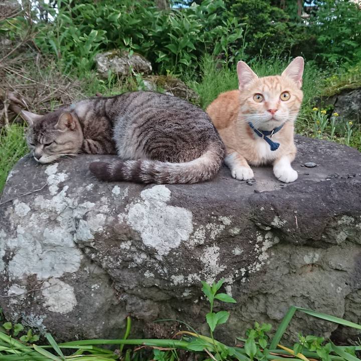 E40b61b9 328a 4401 8751 eb0ff86062b2 1559642185537