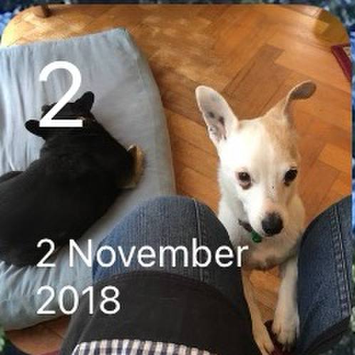 E40b7262 8f4f 4860 a5e0 a3f760595518 1762012590924