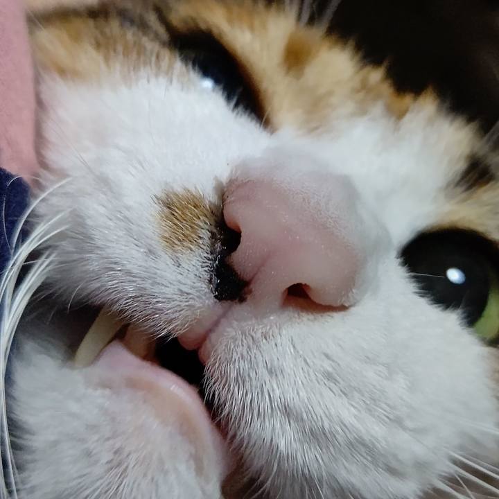 E40b764b e24c 46f7 8a41 7b1a9545d631 1622629149378