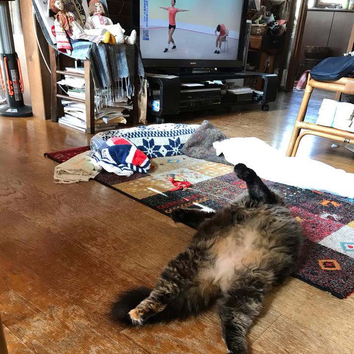 E40b7fc5 3a2b 4939 940a 3de1a16f48d1 1615511014250