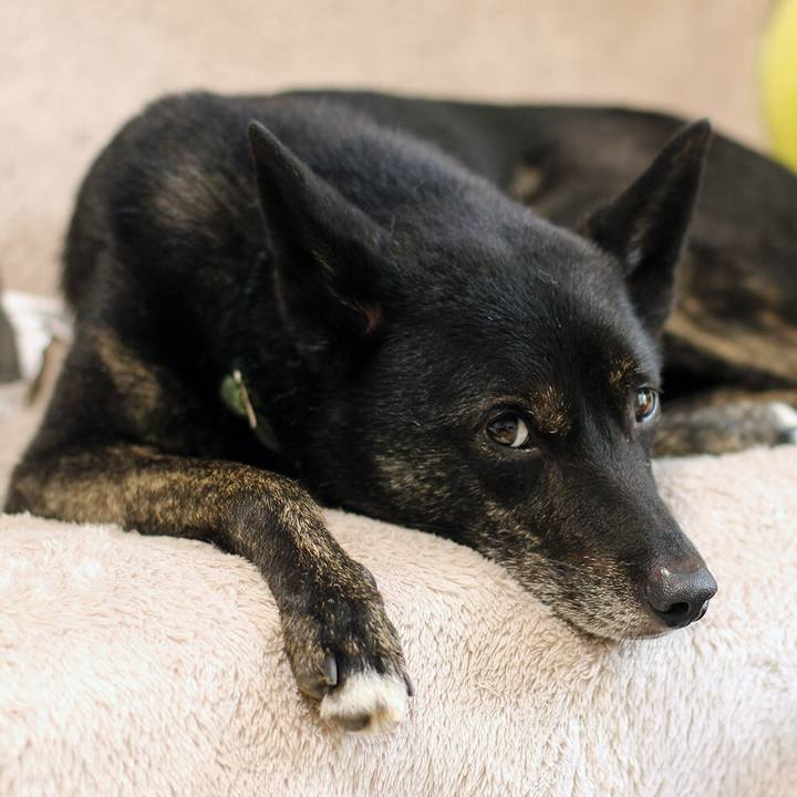 E40bb82c 9e0b 4ac6 8215 4dd1dbfc3ecb 1596584189731