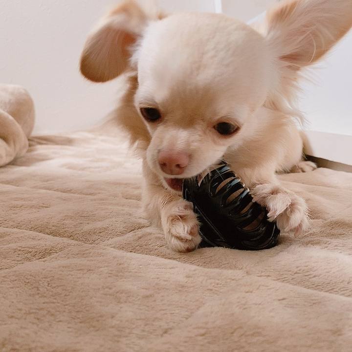 E40bd44d 61a9 40fa 8653 69dd2bd392c2 1614931378688