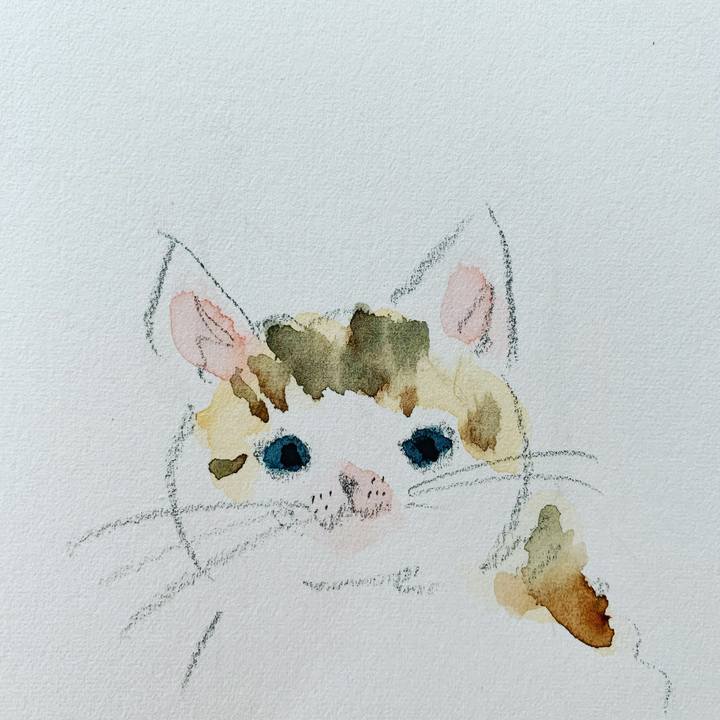 E40bdc9e 6022 4aa1 a2bc 2c88d4fe35af 1605501008855