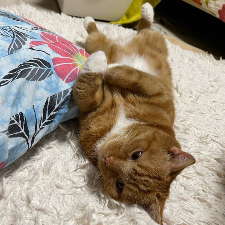 E40be08b 2c0e 42ee b741 59abcc3c95f4 1662385296225