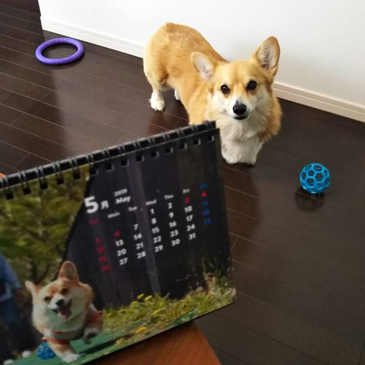 E40bf8b6 c7e4 4036 bc38 ac2be2a517e1 1556680969410