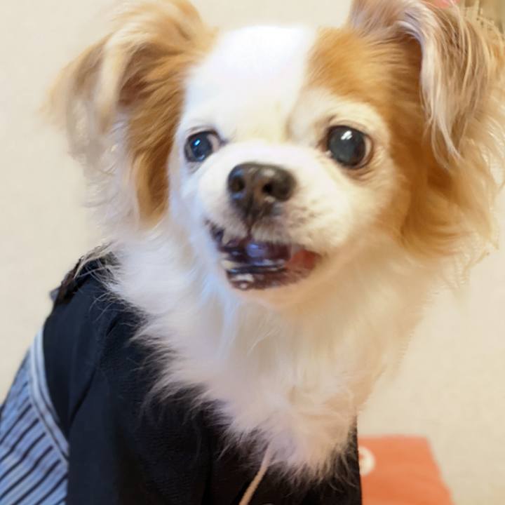 E40c02a5 73f1 4be2 99c6 9e813c7971fb 1641791604044