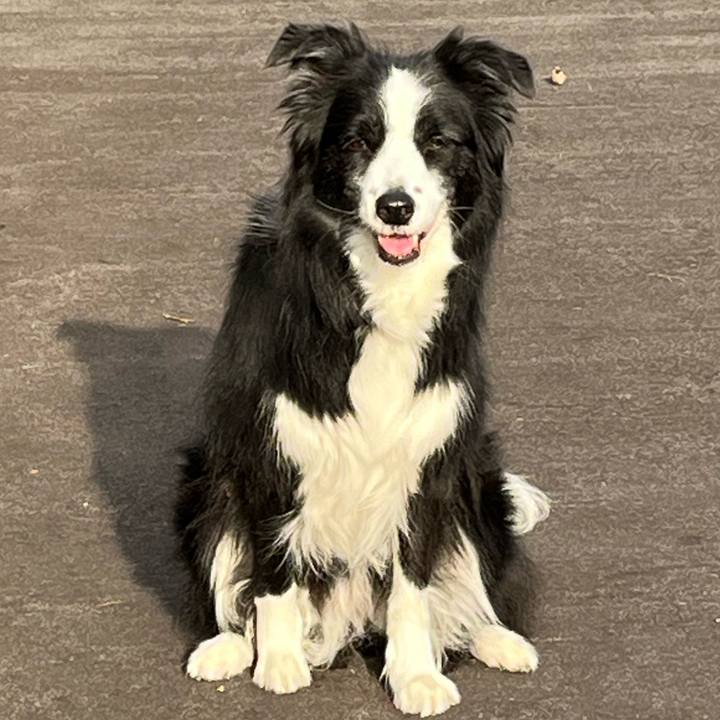 E40c1011 6b93 4778 94d5 1f1fd545dc1f 1767183923488