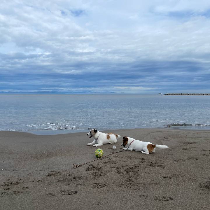 E40c3f25 cb37 4ebb 9c75 9124e8acd0f0 1661902525188