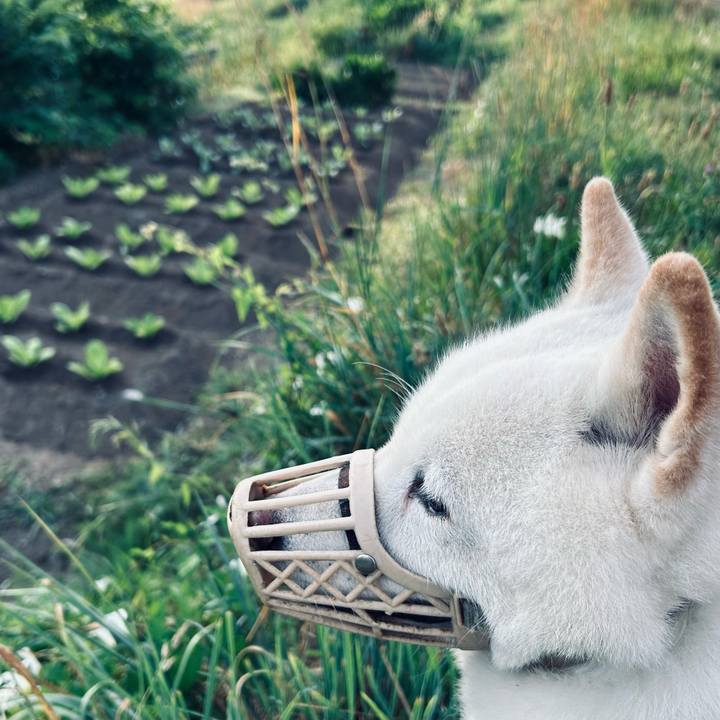 E40c4ad2 bb73 47ad b123 60c2f3447a1f 1752353600558