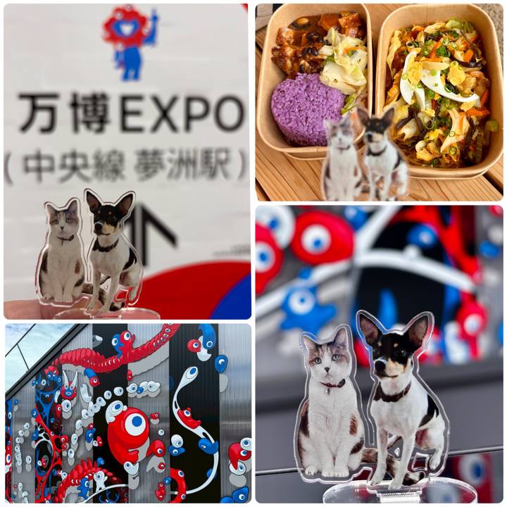 E40c6839 ea57 461a 8681 cb6c181ed12b 1750888876666