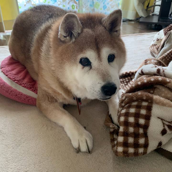 E40c8e41 a646 4d84 932b 24b18192ffe6 1603755085256