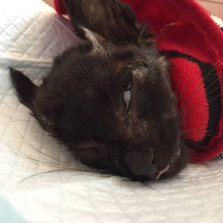 E40ca80b 30cf 497e 947d 1ad8acc1f1be 1533355573540