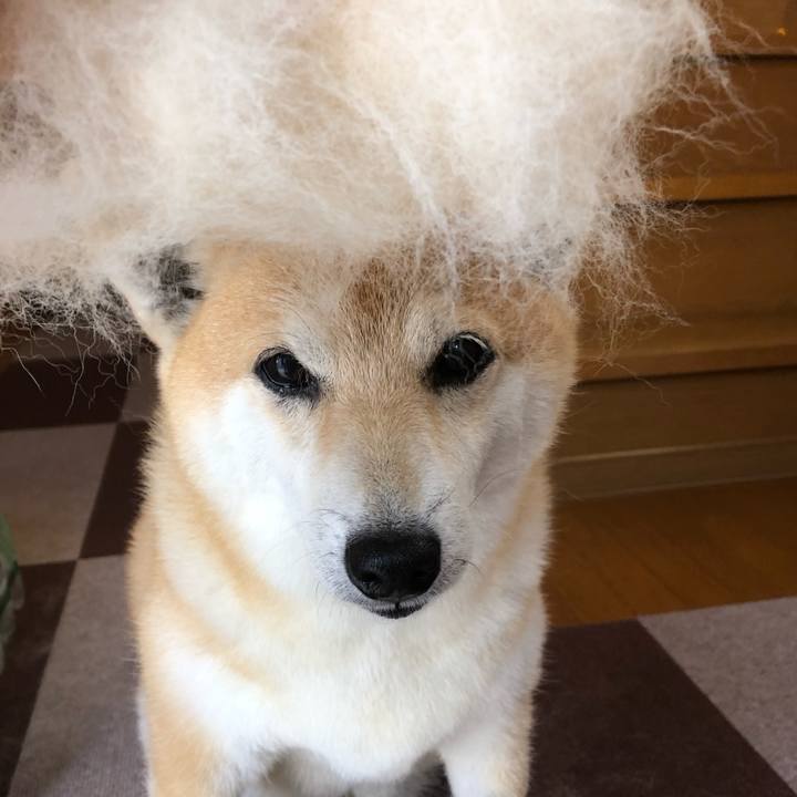 E40cabbc f7ab 4551 87b5 dca96dacc755 1558877204082