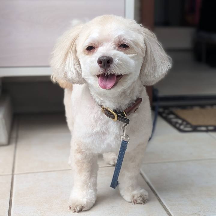 E40cedf8 dc89 49d8 a8d9 0908e01fb24a 1762943102180