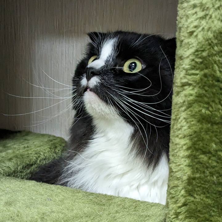 E40d1768 ca20 42cf b58f abacb2e0a97f 1711591169392