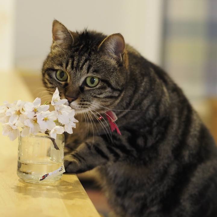 E40d3446 2728 4161 bf8f 28625f64b466 1617538726173