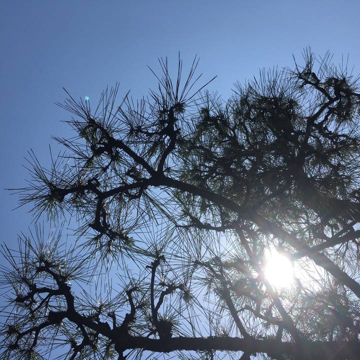 E40d39ae daab 47c7 829e c1ad3382902f 1559711217345