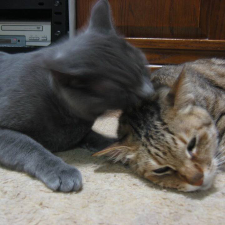 E40d66a3 5e3a 4b50 8c7a 79102f0815fa 1519092622671