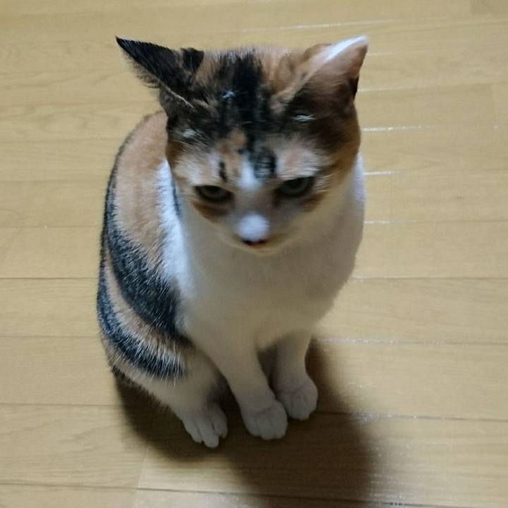 E40d8684 0780 4f72 9ec1 c149841f3a14 1525334360316