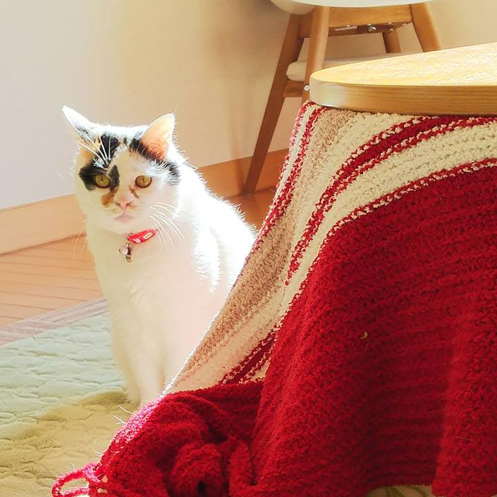 E40dd117 09f0 48a6 95f9 451c5dc1ce20 1510713824197