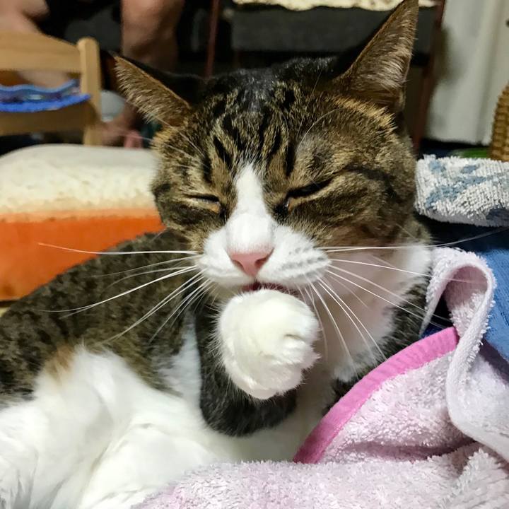 E40ddeb0 3da2 4deb bdae 88103e4ba54e 1535715253807