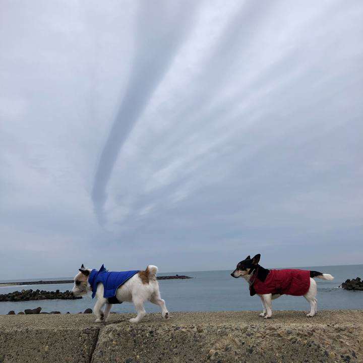 E40e0f4f bd7c 44c0 bf26 e0b1eb0a0d7e 1550530968254