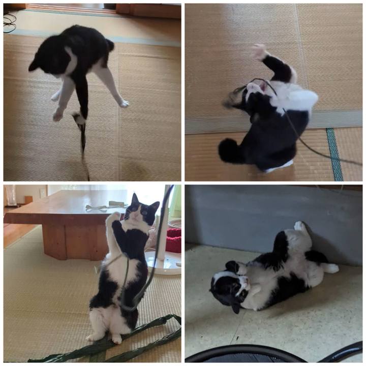 E40e1ae1 781d 44cb 928d 9c4f5e0f6a94 1697379533466