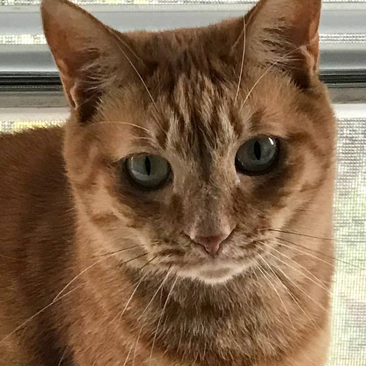 E40e9f4e 2141 4766 91d2 4ee08db6f8ed 1574829116163