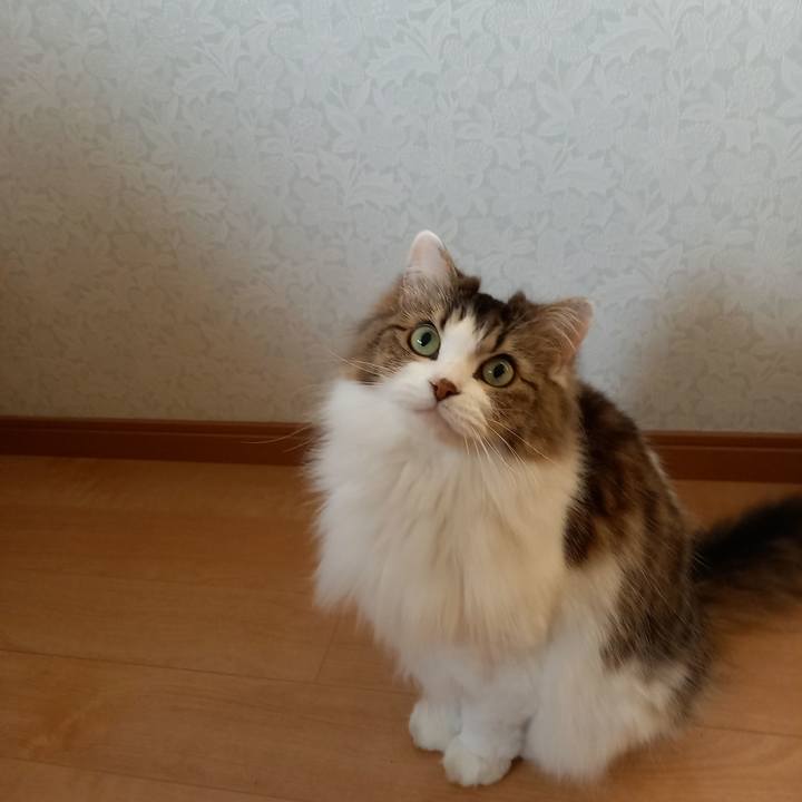 E40ecfbc 1b47 4f6a b085 ad84cac5b3aa 1608101645279