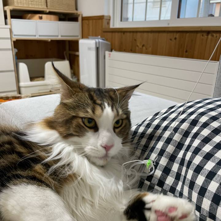 E40f030c c78a 4d58 a2b2 f4394c530de7 1650484974405