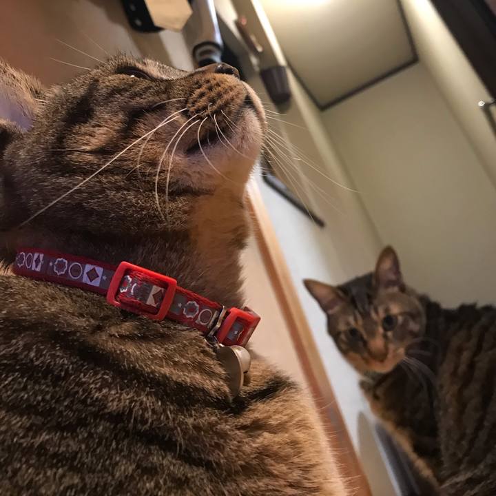 E40f0cd3 f26d 4a34 80d1 b4450df65582 1662467057566