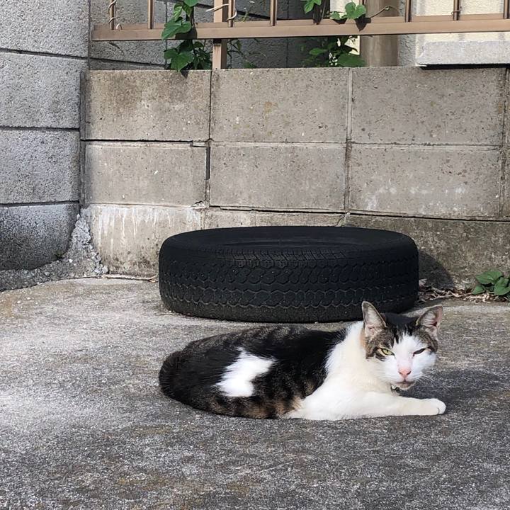 E40f36bb 638f 4e41 9ce7 0cb390f29609 1555680583877