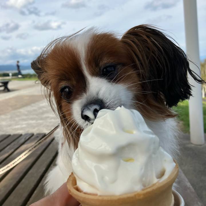 E40f5830 149b 46bc 8c11 2b5751c348ec 1759032007970