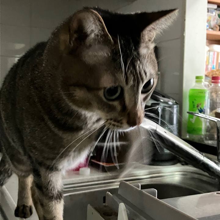 E40f6e54 489b 4dbe 9b48 7659ab93a2b3 1768000272215