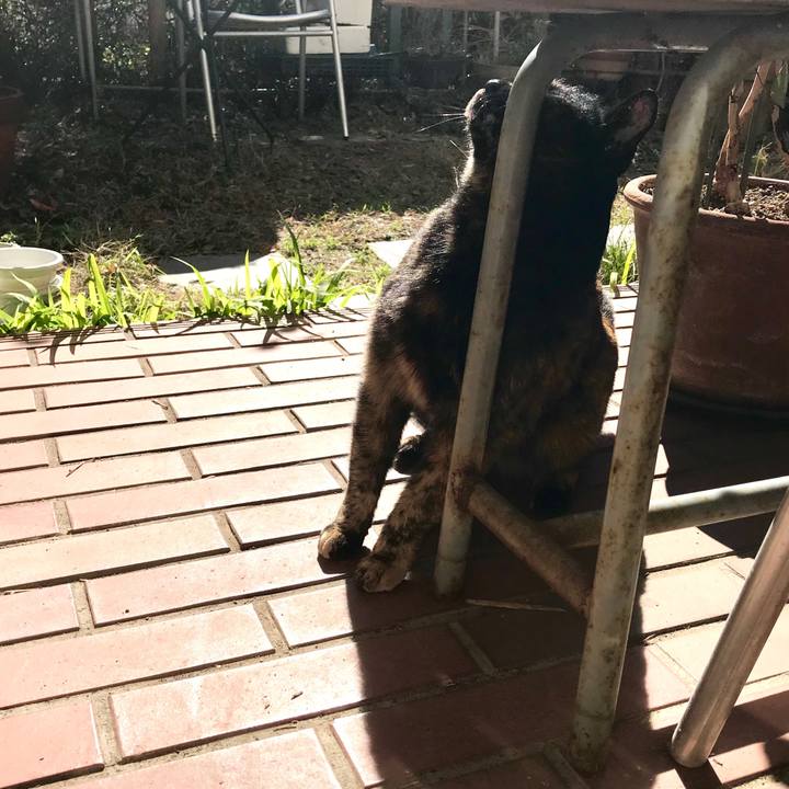 E40fefb7 7456 48a3 945e efb2b6048a32 1518145645958