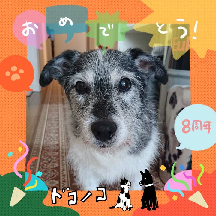 E40ff447 cda1 4a69 b67d ba3d36b0e156 1717645978030