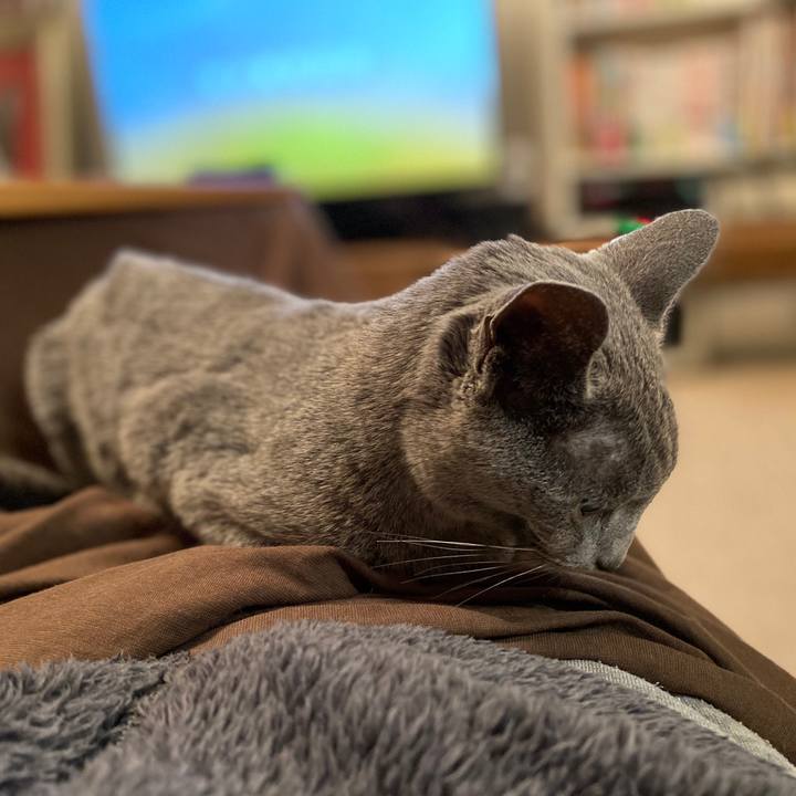 E4101405 9207 4dee b0fa a88da284c3ef 1579734598676