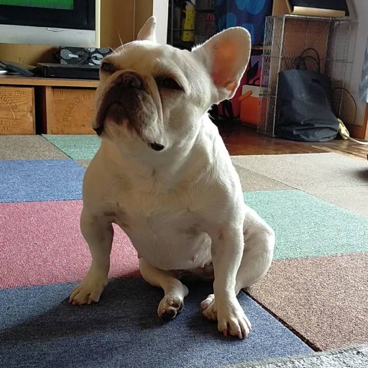 E41078e5 7f1d 4192 a67c 0118ada8282f 1654555990846