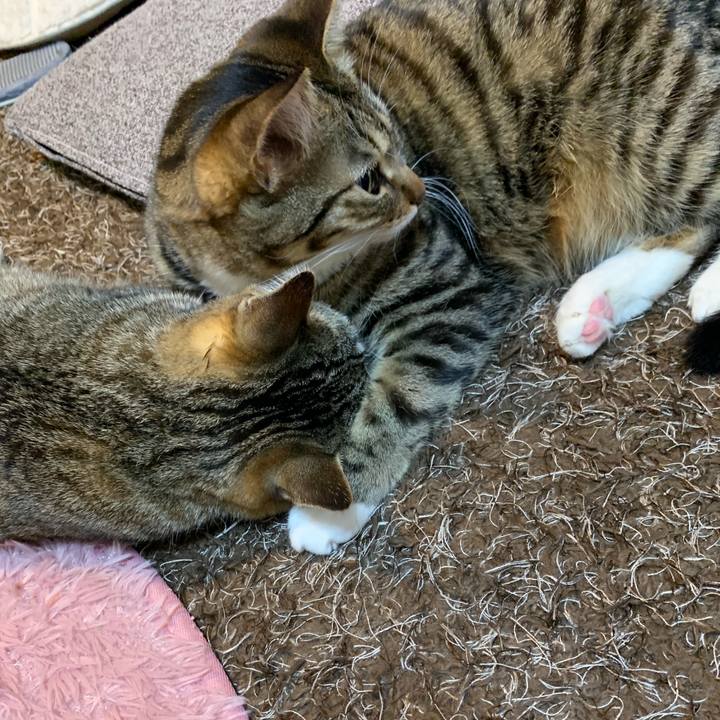 E4109b6d d804 4e5c 90cd a6845589c643 1551399682898