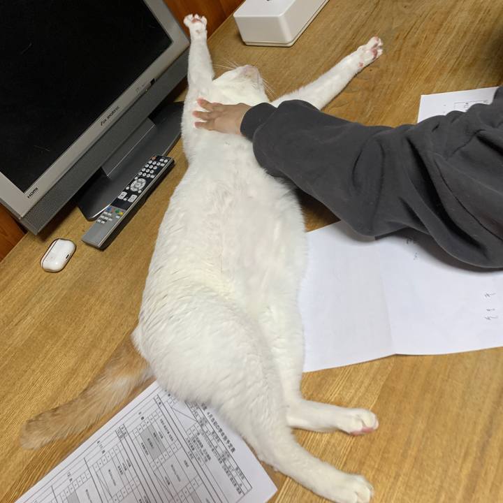 E410caa6 2a52 4c71 a118 b7eb32a19e75 1650282918626