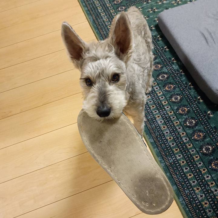 E410dc52 6bba 458a 8cbe 8c10a6b18241 1771587294641