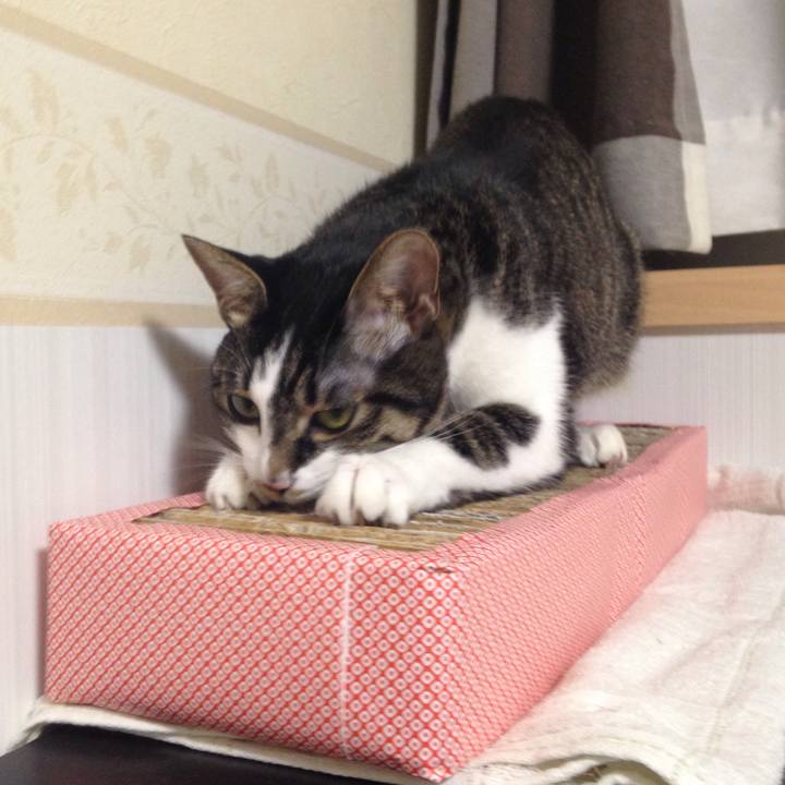 E410e73f c083 4acf 9014 8371b4aaf9ab 1512738699128