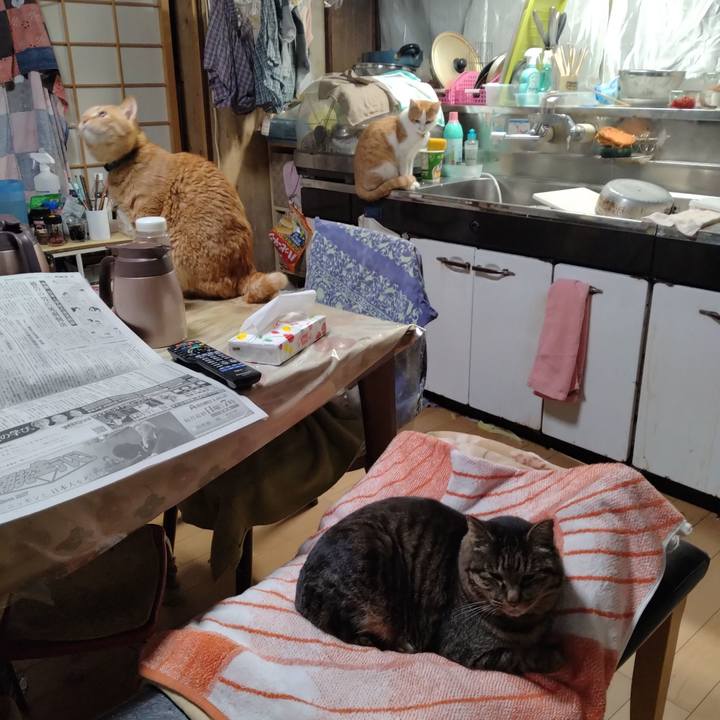 E41111ec 1392 4b38 9d8e 8207d7384e90 1737754795636