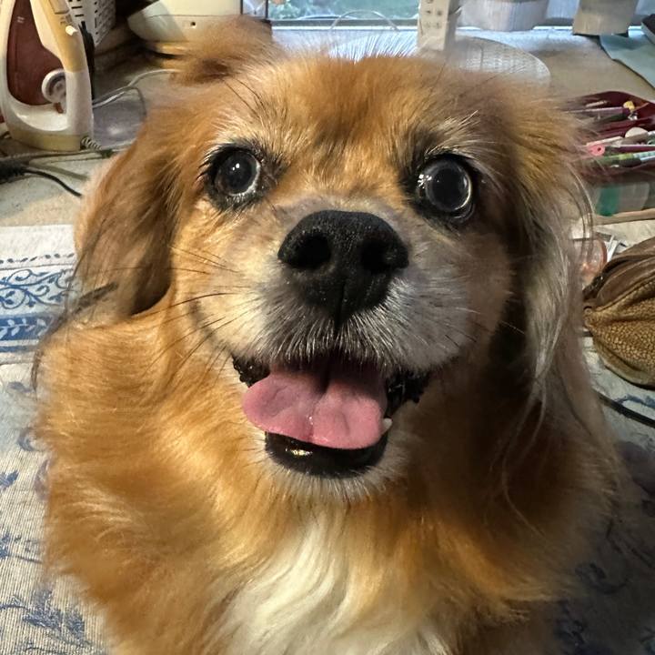 E41131bd dd8d 4228 b0bc f5672e851627 1727903246375