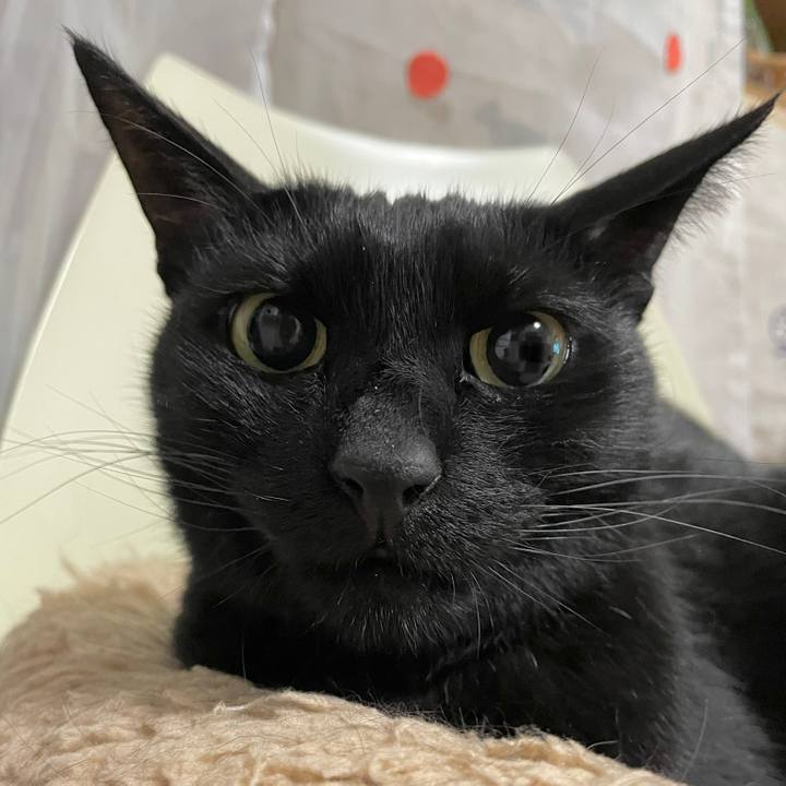 E41141f0 fd72 44a4 9693 5c5fe7f35721 1682858775027