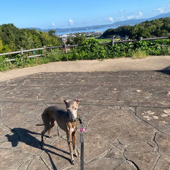 E4115a71 4e5f 4587 87f4 e1f1a618bcfa 1759281042117