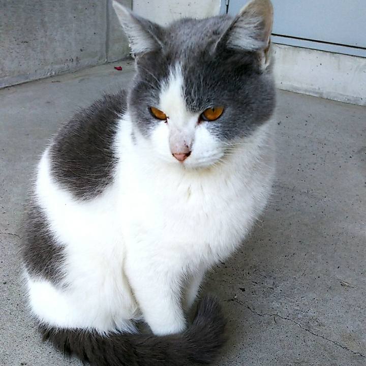 E4115eff 5860 4aa0 aadd dfdf0c623f7c 1515558261370