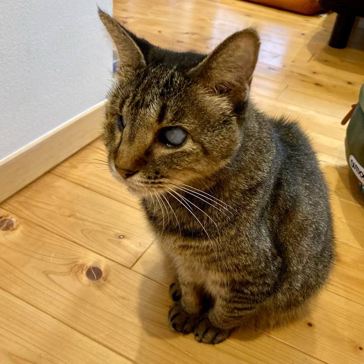 E4115f2b d7f0 406f af9b 32396a2c9e70 1664250603338